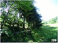 konecbrigar jaro (30).jpg