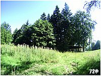 konecbrigar jaro (31).jpg