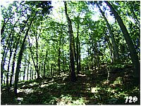 konecbrigar jaro (32).jpg