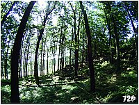 konecbrigar jaro (34).jpg