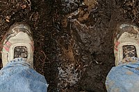 konecbrigar jaro (44).jpg