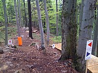 konecbrigar jaro (9).jpg