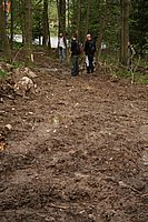 konecbrigar jaro.jpg