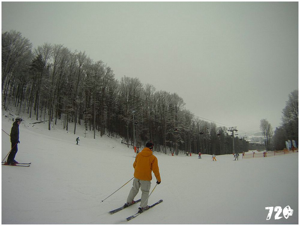 moninec s polem (17).jpg