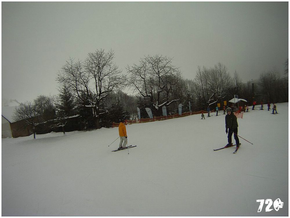 moninec s polem (6).jpg