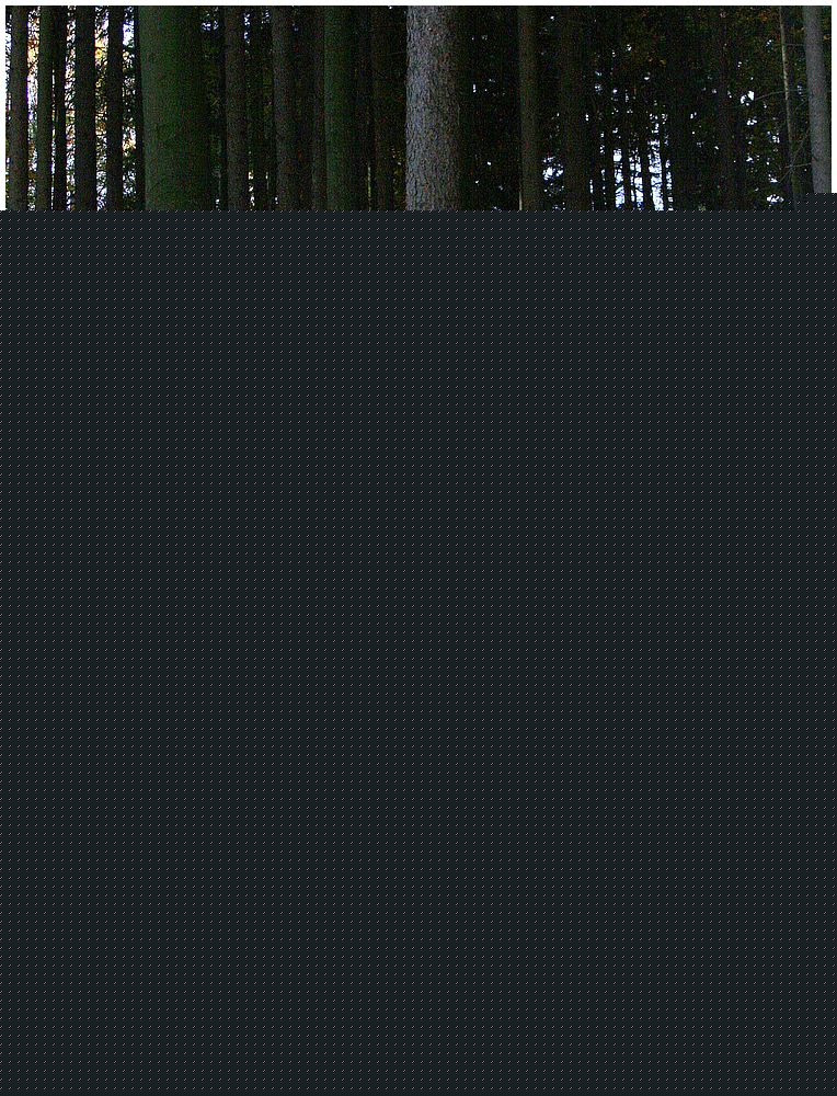 moninec_dusanekfoto (47).JPG