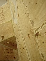 DSC05931.JPG