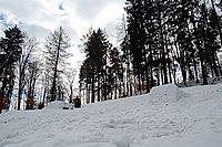 DSC_0006.jpg