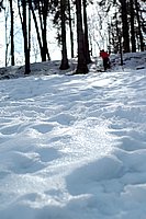 DSC_0071.jpg