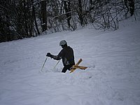IMGP3624.JPG