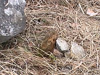 PIC_0015.JPG