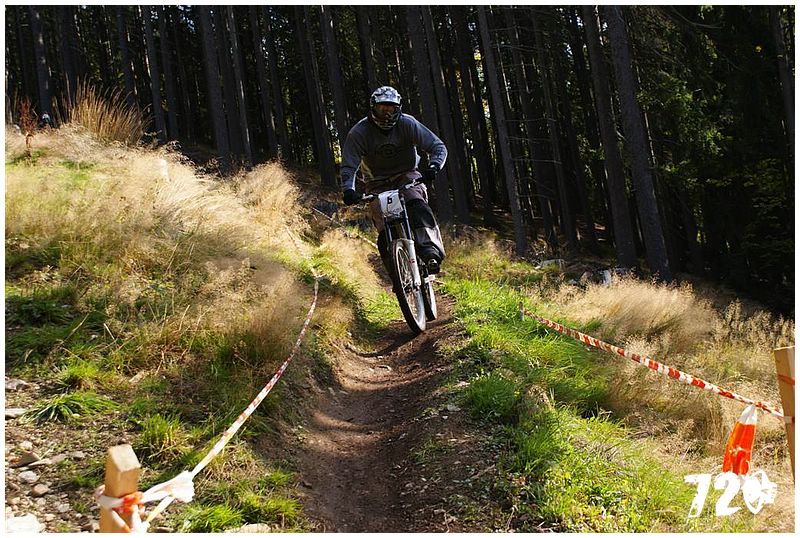 DSC01864 (Large).JPG