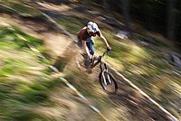 DSC01886 (Large).JPG