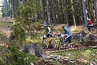 DSC01923 (Large).JPG