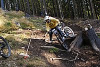 DSC01930 (Large).JPG