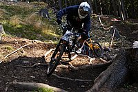 DSC01942 (Large).JPG