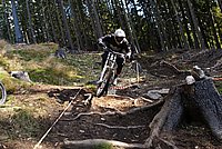 DSC01946 (Large).JPG