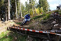 DSC01952 (Large).JPG