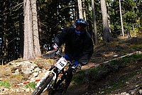 DSC01965 (Large).JPG