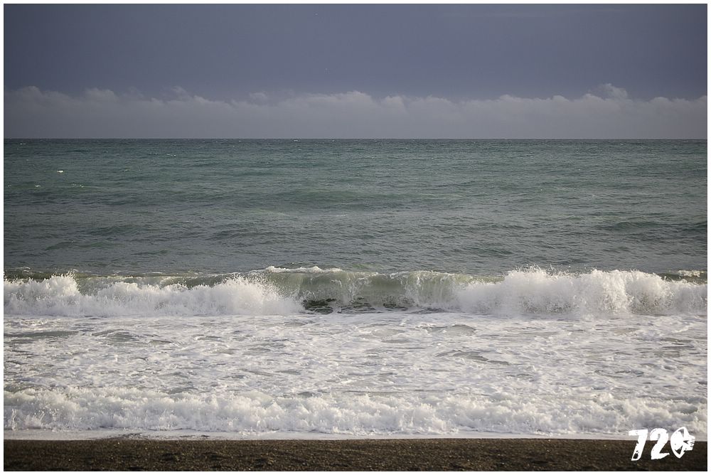 silvestrmonaco09010 (45).jpg