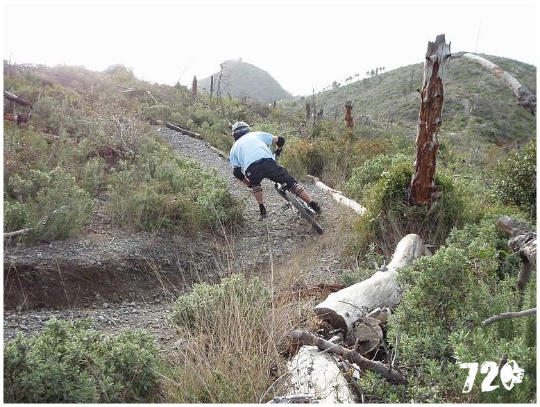 silvestrmonaco09010 (71).jpg