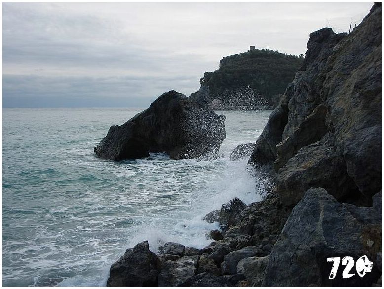 silvestrmonaco09010 (76).jpg