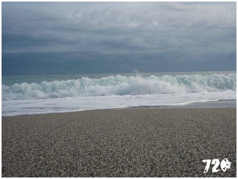 silvestrmonaco09010 (79).jpg