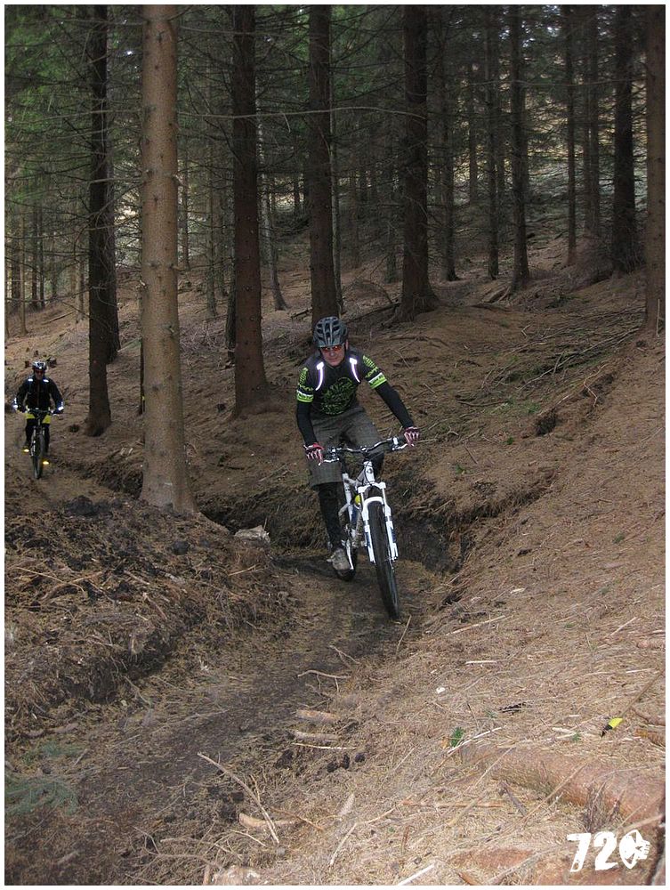 singl pod smrkem (14).jpg