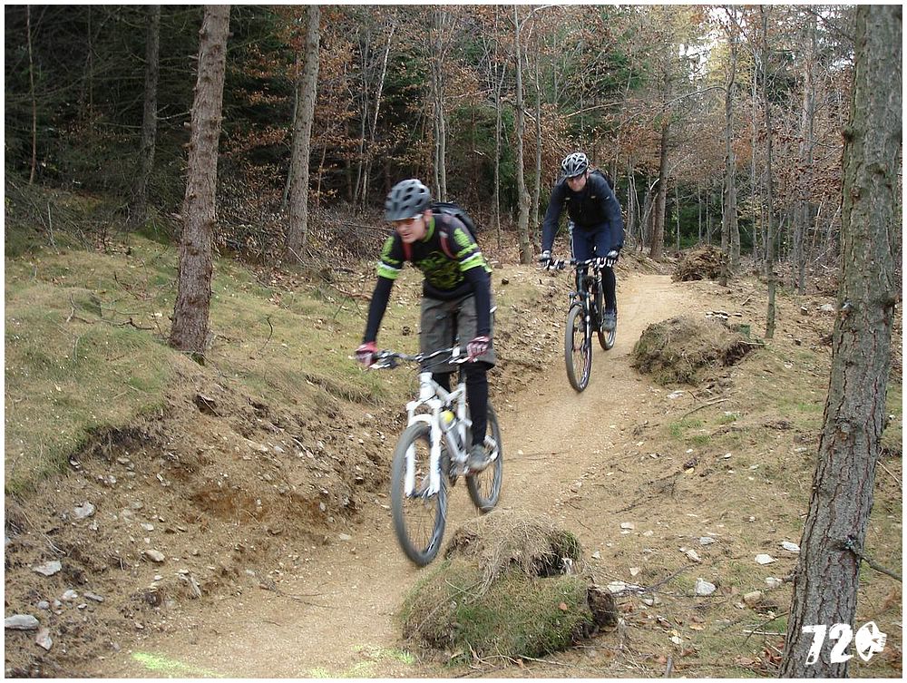 singl pod smrkem (16).jpg