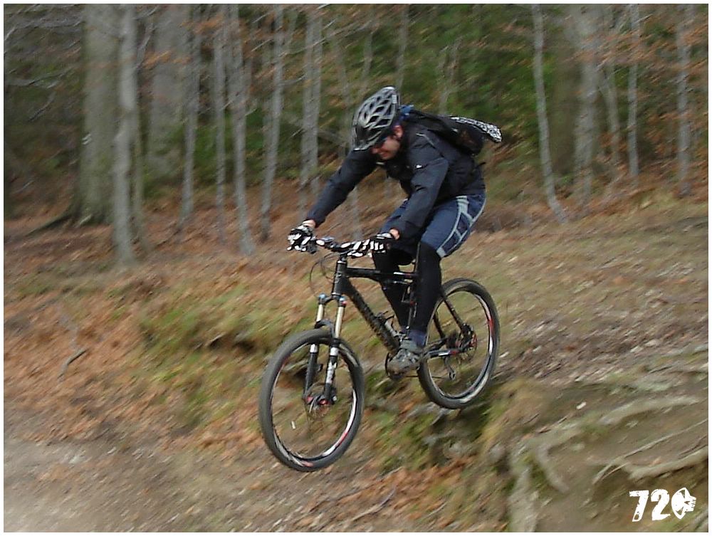 singl pod smrkem (18).jpg