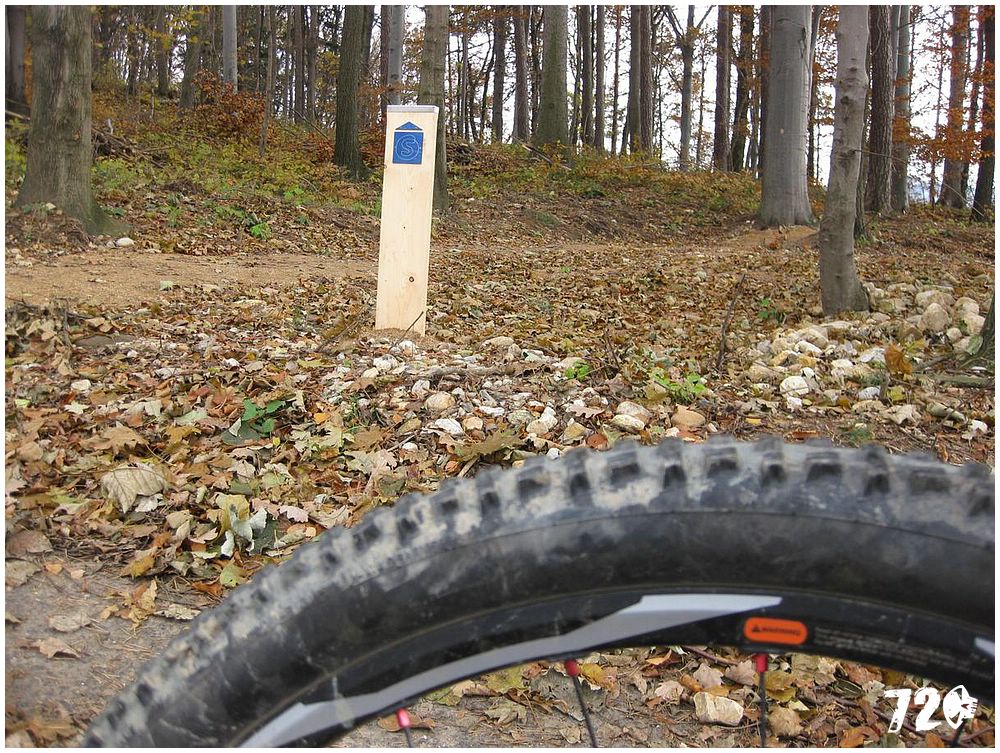 singl pod smrkem (19).jpg