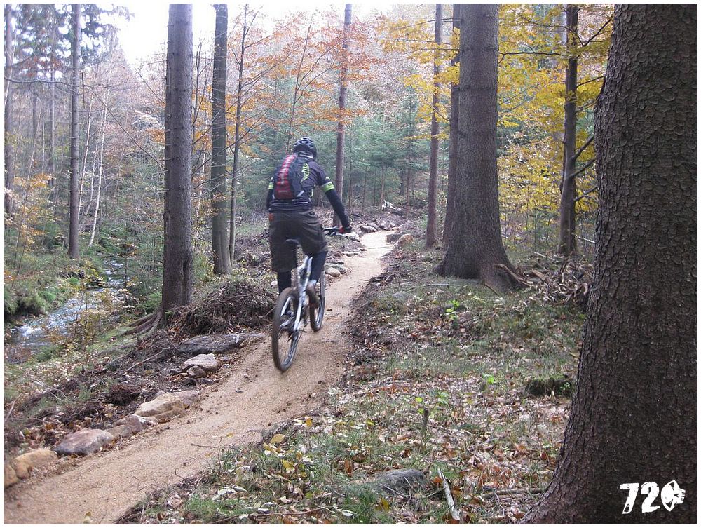 singl pod smrkem (3).jpg