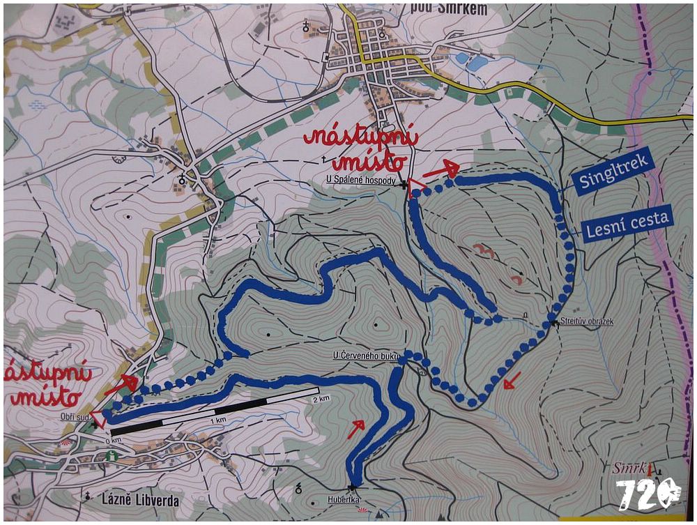 singl pod smrkem (9).jpg