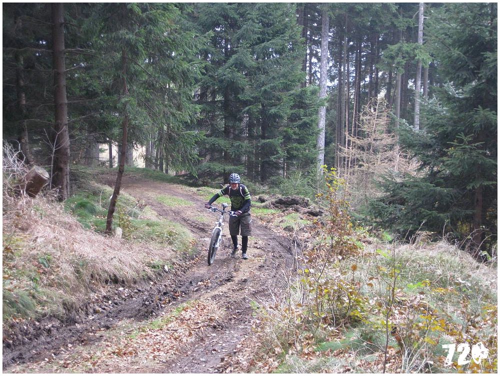 singl pod smrkem.jpg