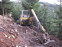 singl pod smrkem (12).jpg