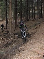 singl pod smrkem (14).jpg