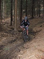 singl pod smrkem (15).jpg