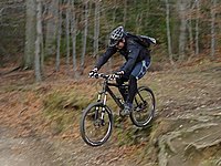 singl pod smrkem (18).jpg