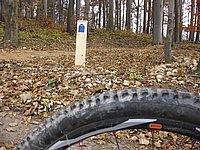 singl pod smrkem (19).jpg