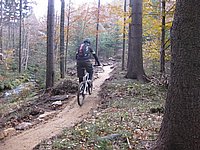 singl pod smrkem (3).jpg