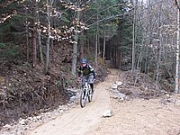 singl pod smrkem (5).jpg