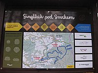singl pod smrkem (8).jpg
