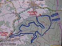 singl pod smrkem (9).jpg