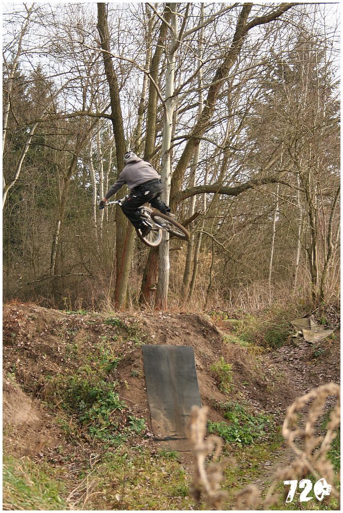 sobik09fall (13).jpg