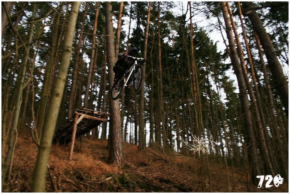 sobik09fall (15).jpg