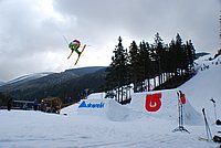 spring sessoin2010 (1).jpg