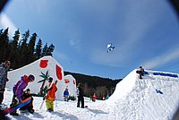 spring sessoin2010 (4).jpg