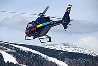 spring sessoin2010 (6).jpg