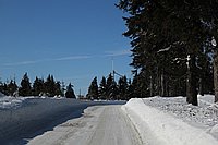 IMG_1910.jpg