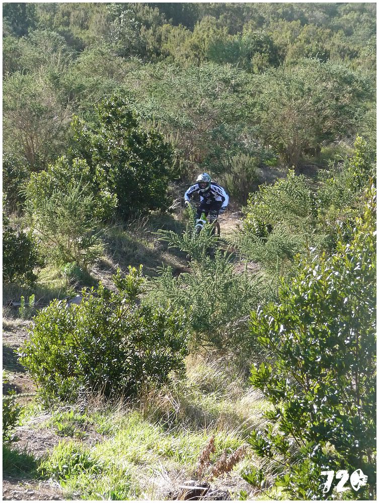 tenerife part one (10).JPG